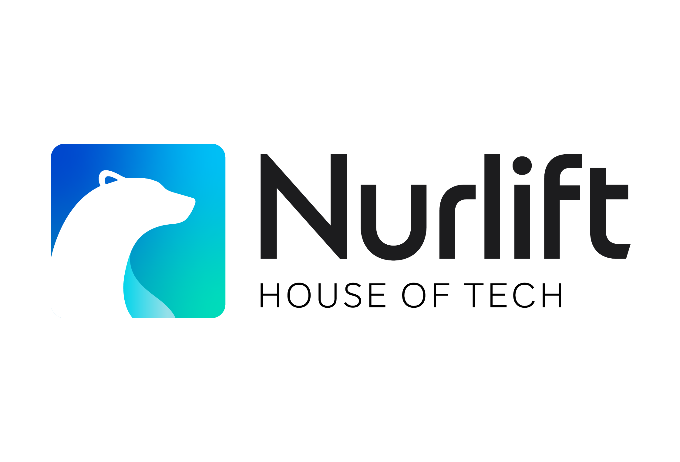 Nurlift
